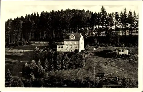 Ak Tanne Oberharz am Brocken, Café und Pension Sanssouci, Wald