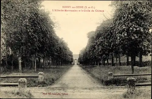 Ak Rosny sur Seine Yvelines, L'Allee des Maronniers et la Grille du Chateau