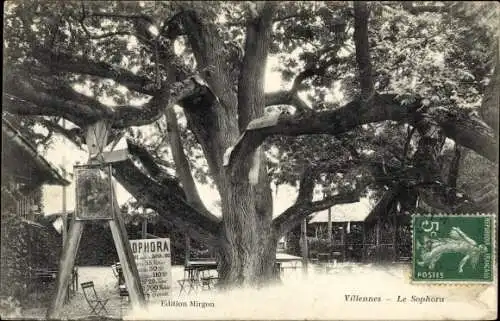 Ak Villennes Yvelines, Le Sophora