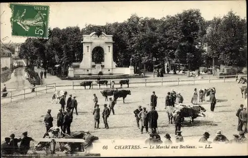 Ak Chartres Eure et Loir, Le Marche aux Bestiaux