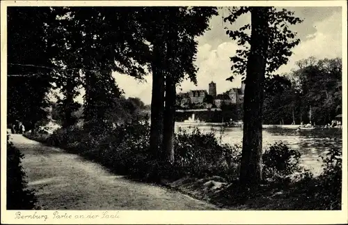 Ak Bernburg an der Saale, Partie an der Saale