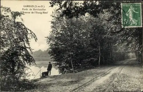 Ak Gambais Yvelines, Foret de Rambouillet, L'Avenue de l'Etang Neuf