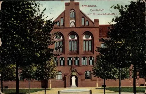 Ak Elmshorn in Schleswig Holstein, Gymnasium mit Bismarckdenkmal