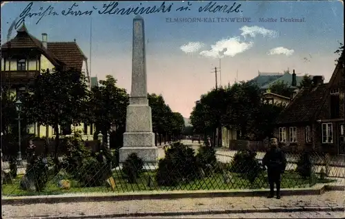 Ak Kaltenweide Elmshorn in Schleswig Holstein, Moltke Denkmal