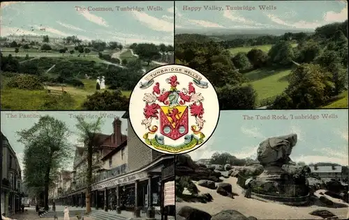 Wappen Ak Tunbridge Wells Kent, Toad Rock, Happy Valley, Common, Pantiles