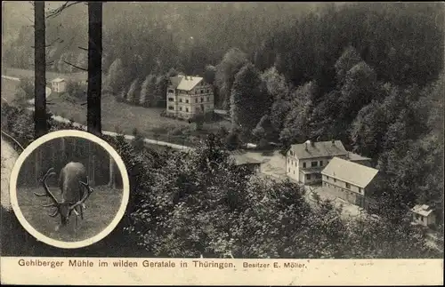 Ak Gehlberg in Thüringen, Gehlberger Mühle