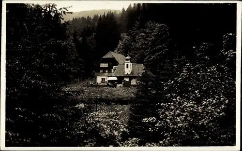 Foto Ak Gehlberg in Thüringen, Haus, Waldpartie