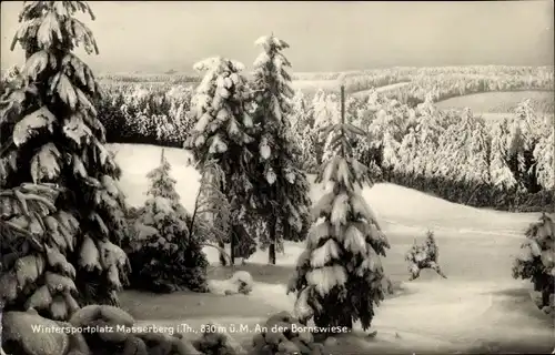 Ak Masserberg in Thüringen, Bornwiese, Wintermotiv