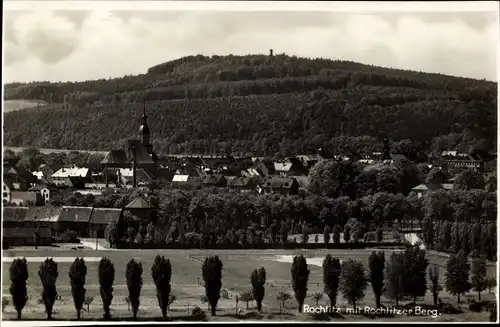 Ak Rochlitz an der Mulde, Totale mit Rochlitzer Berg