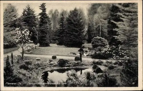 Ak Meerane in Sachsen, Motiv im Wilhelm Wunderlich Park