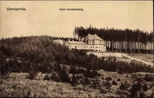 Ak Wernigerode am Harz, Hotel Armeleuteberg