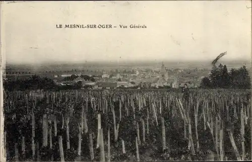 Ak Le Mesnil sur Oger Marne, Vue Generale