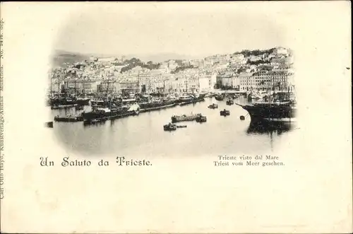 Ak Triest Trieste Friuli Venezia Giulia, Blick auf den Ort, Hafen
