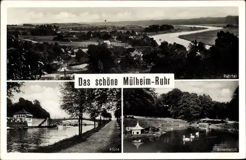 Ak Mülheim an der Ruhr, Talblick, Flora, Ententeich