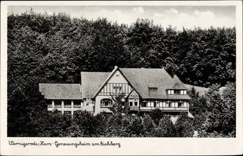 Ak Wernigerode am Harz, Genesungsheim am Eichberg, Wald