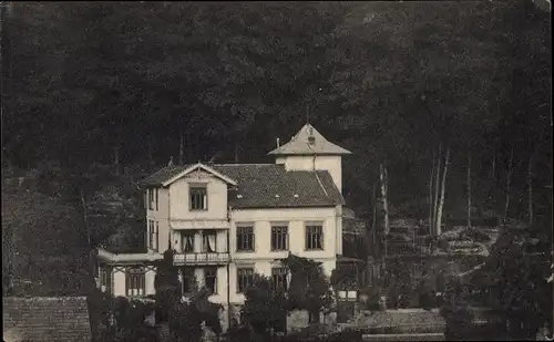 Ak Bad Grund im Harz, Waldhaus