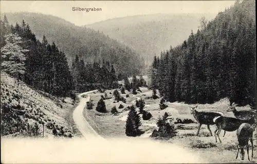 Ak Oberhof im Thüringer Wald, Silbergraben, Rehe