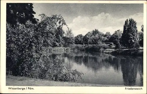 Ak Wittenberge an der Elbe, Friedensteich