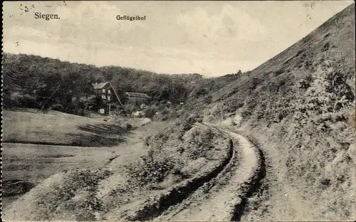 Ak Siegen in Westfalen, Geflügelhof