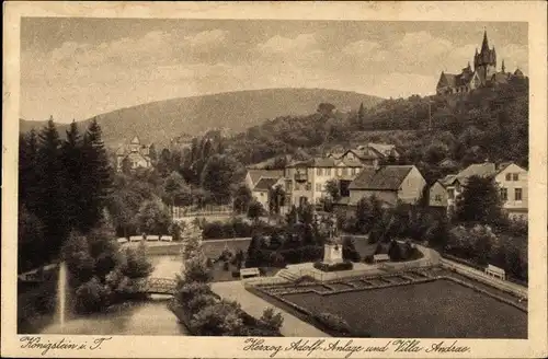 Ak Königstein im Taunus, Herzog Adolf Anlage und Villa Andrae