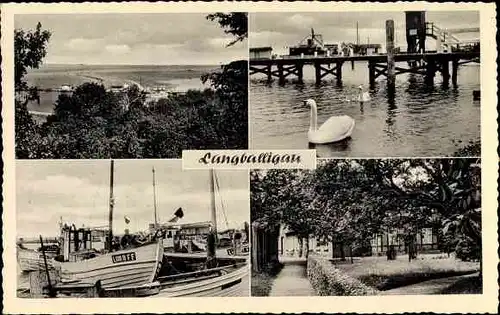 Ak Langballigau Langballig Schleswig Holstein, Blick auf Gebäude, Hafen, Fischkutter, Schwäne