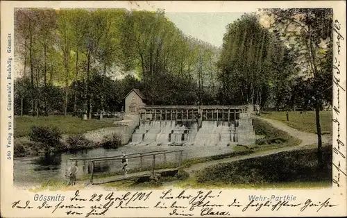 Ak Gößnitz in Thüringen, Wehrpartie