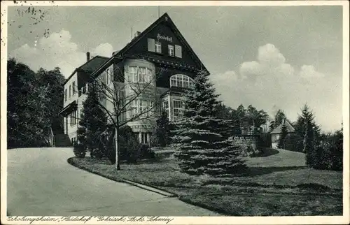 Ak Gohrisch Sächsische Schweiz, Erholungsheim Haidehof