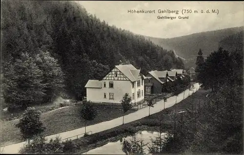 Ak Gehlberg in Thüringen, Gehlberger Grund, Waldpartie