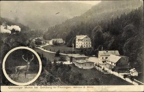 Ak Gehlberg in Thüringen, Hotel Pension Gehlberger Mühle, Tal der wilden Gera