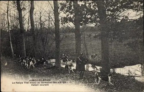 Ak Jumelles Brion Maine-et-Loire, Le Rallye Viel Anjou au Domaine den Hayes