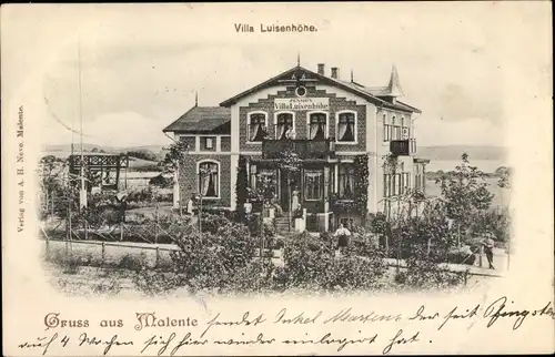 Ak Malente in Ostholstein, Villa Luisenhöhe, Totalansicht