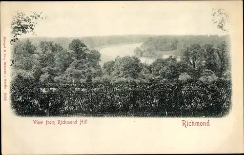 Ak Richmond upon Thames London, View from Richmond Hill