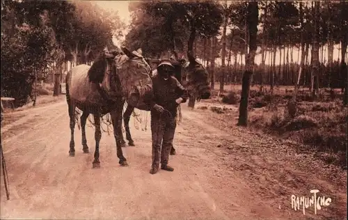 Ak Landes Frankreich, Attelage de Mulets Landais