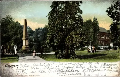 Ak Elmshorn in Schleswig Holstein, Probstenfelde, Denkmal