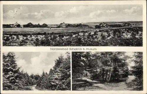 Ak Schobüll Husum in Nordfriesland, Panorama vom Ort, Waldpartien