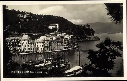 Ak Portofino Liguria, Panorama vom Ort