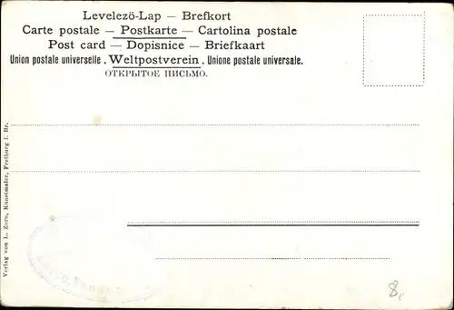 Künstler Ak Zorn, L., Feldberg im Schwarzwald, Landschaftsmotiv, Wanderausrüstung