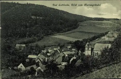 Ak Bad Gottleuba Berggießhübel, Ort vom Mariengründel gesehen, Wald