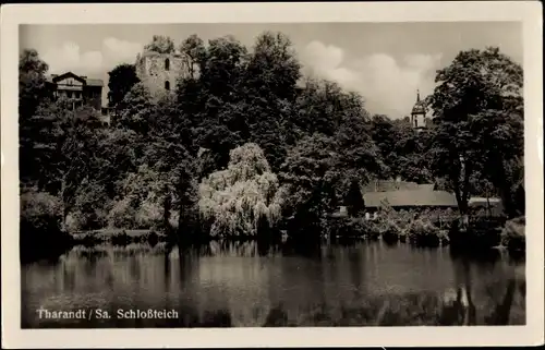 Ak Tharandt im Erzgebirge, Schlossteich, Ruine