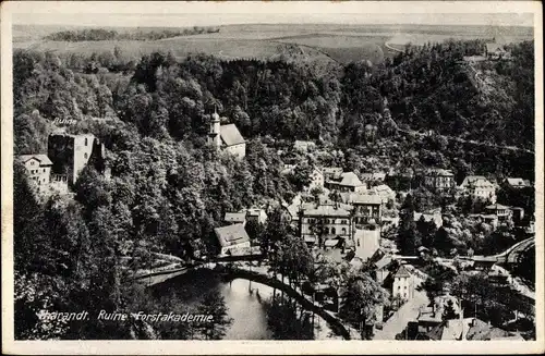 Ak Grillenburg Tharandt Sachsen, Ruine, Forstakademie