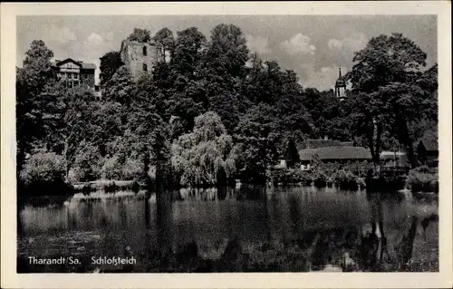 Ak Tharandt im Erzgebirge, Schlossteich, Ruine