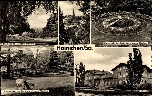 Ak Hainichen in Sachsen, Teilansicht, Blumenuhr, Bahnhof, Hirschgehege, Park