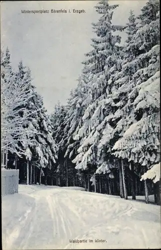 Ak Bärenfels Altenberg im Erzgebirge, Waldpartie im Winter