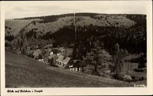 Ak Holzhau Rechenberg Bienenmühle Erzgebirge, Teilansicht, Wald