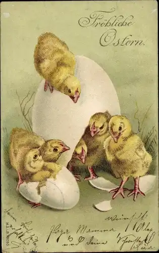 Litho Glückwunsch Ostern, Geschlüpfte Küken neben Eiern, Eierschalen