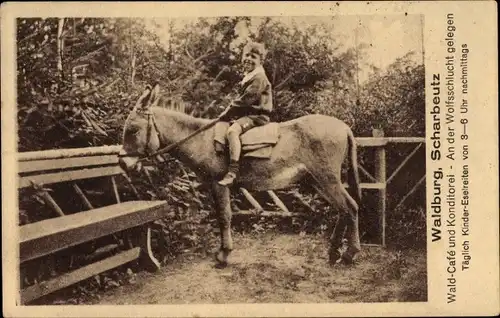 Ak Scharbeutz in Ostholstein, Kind reitet auf einem Esel, Waldcafe Waldburg