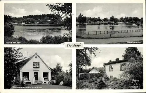 Ak Hoisdorf in Schleswig Holstein, Seepartie, Schwimmbad, Ortspartie, Gemischtwarenladen