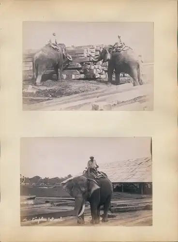 Foto Rangun Rangoon Myanmar, Arbeitselefanten, Baumstämme, Arbeiter