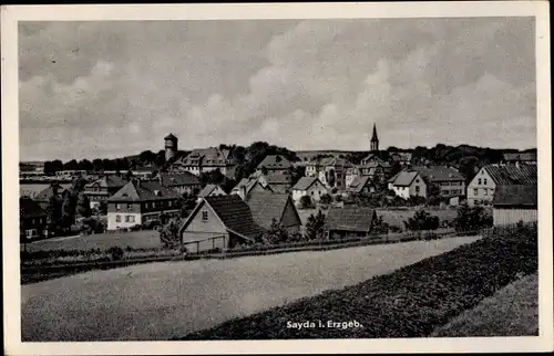 Ak Sayda im Erzgebirge, Panorama