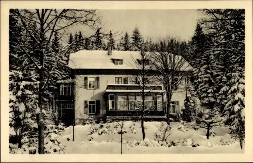 Ak Waldbärenburg Bärenburg Altenberg im Erzgebirge, Waldhaus Anna, Winter